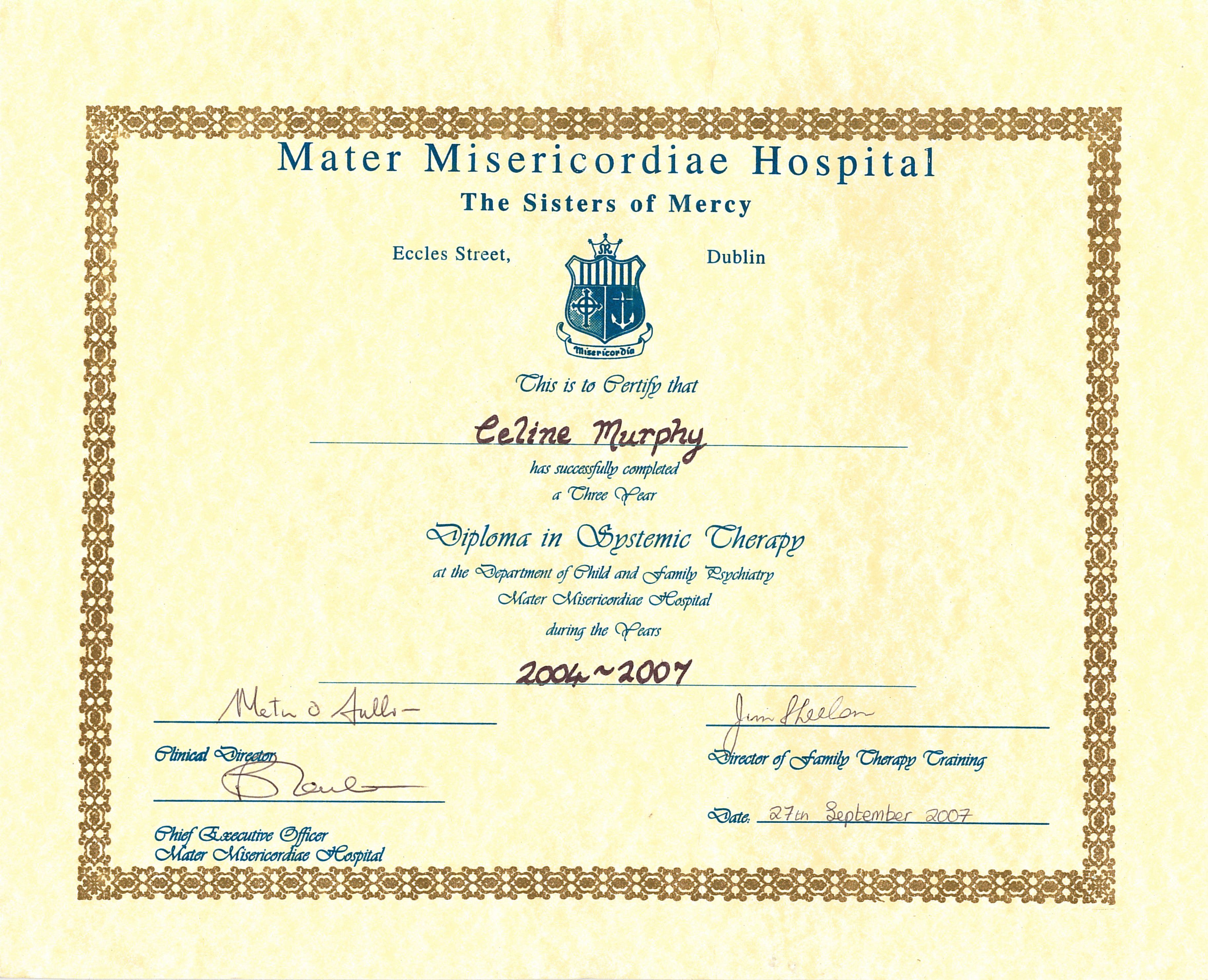 Diploma Systemic Therapy